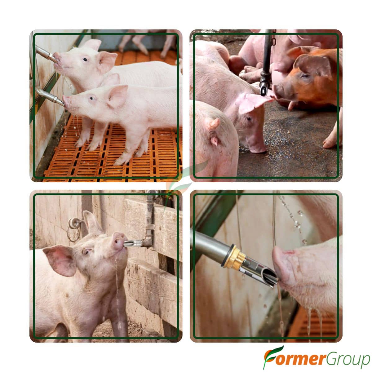 Conector Tubo Bebedero 20cm