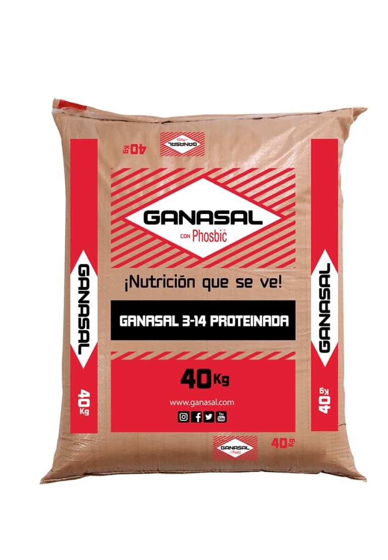 Ganasal 3-14 Proteinada x 40 Kg