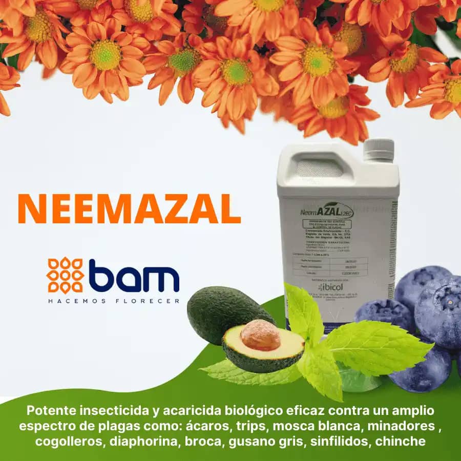 Insecticida Neemazal X Litro(Ibi)
