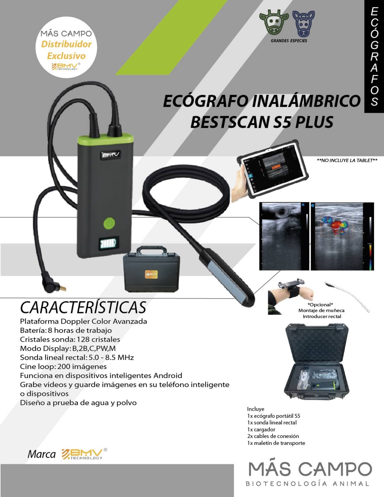 Ecógrafo - Sonda BestScan S5plus