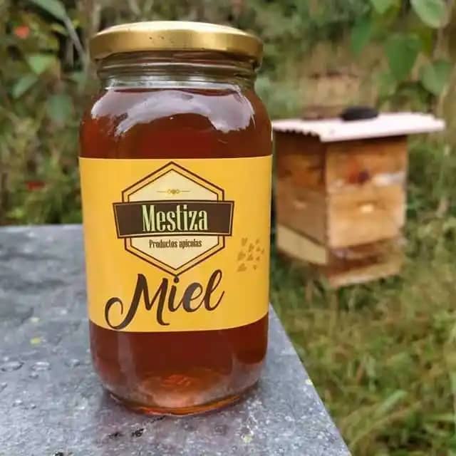 Venta de miel de abeja Anderson Sepulveda X 300 Gr