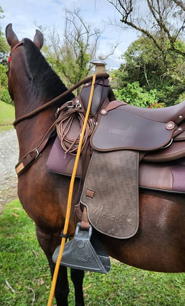 Silla Cienaguera De Vaquería MESACÉ - Ver colores