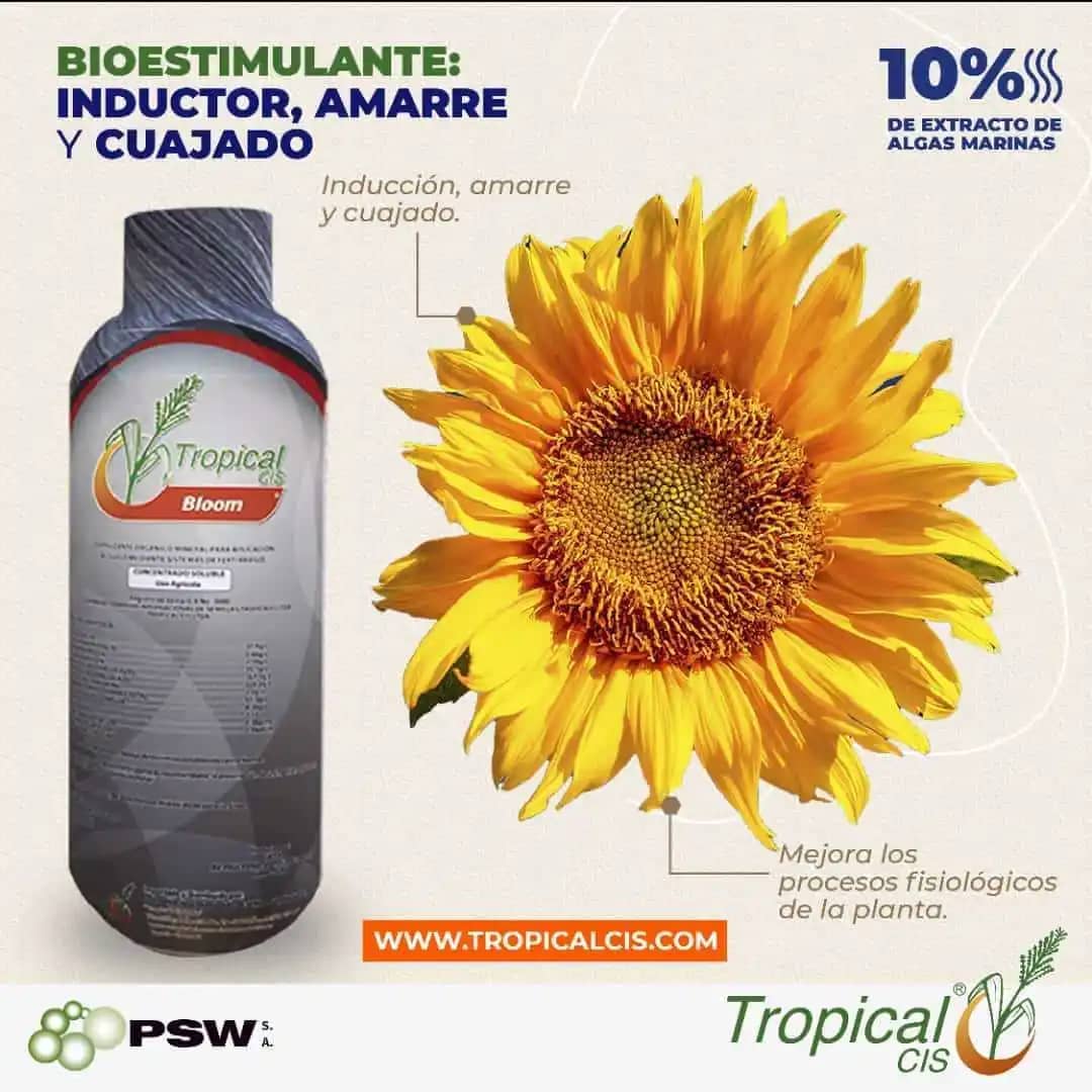 Biofertilizante Tropibloom x 12 Lt