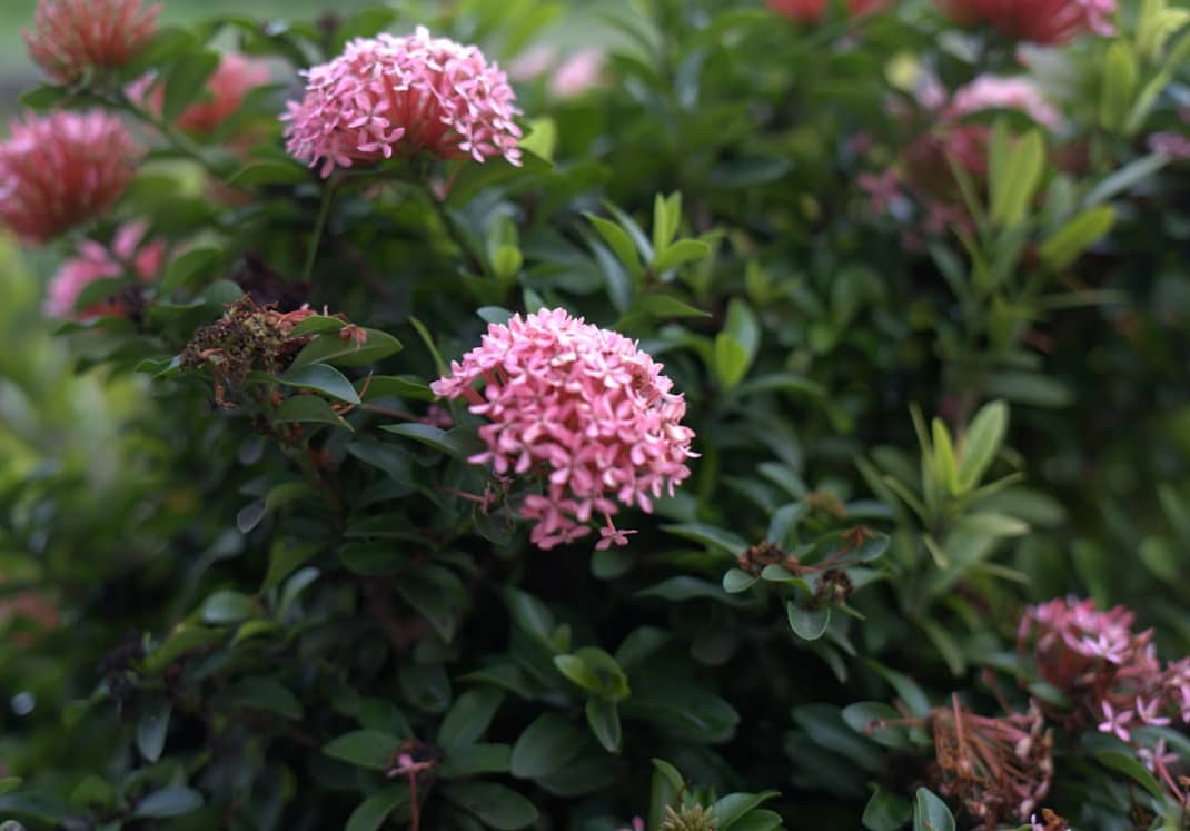 Captura de pantalla 2024-12-20 095640.png