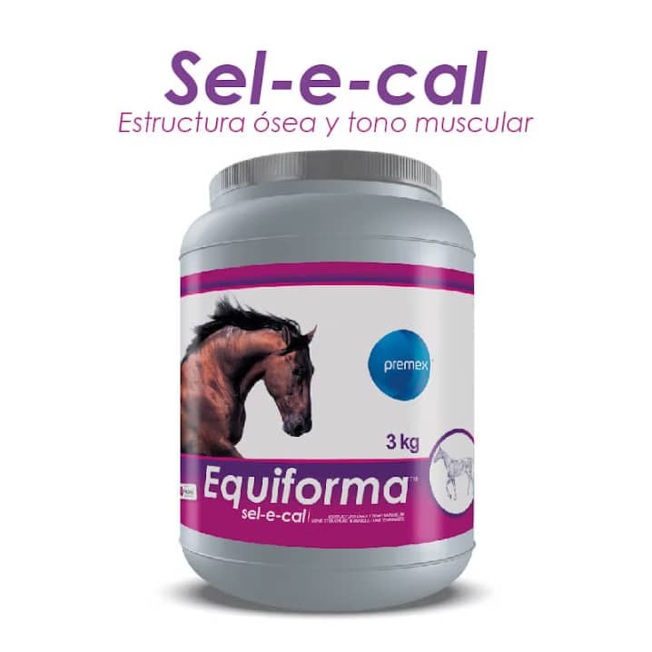 Equiforma Sel-e-cal x 3Kg | Suplemento mineral para caballos