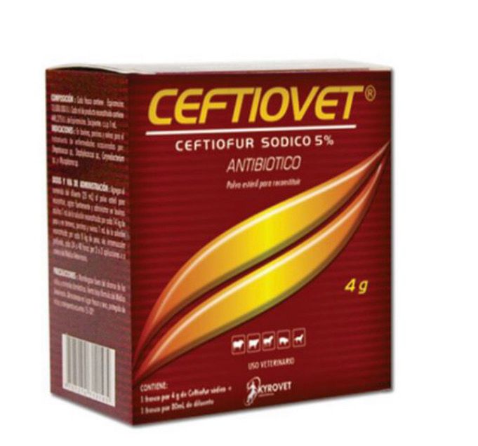 Antibiótico Ceftiovet FCO x 4GR