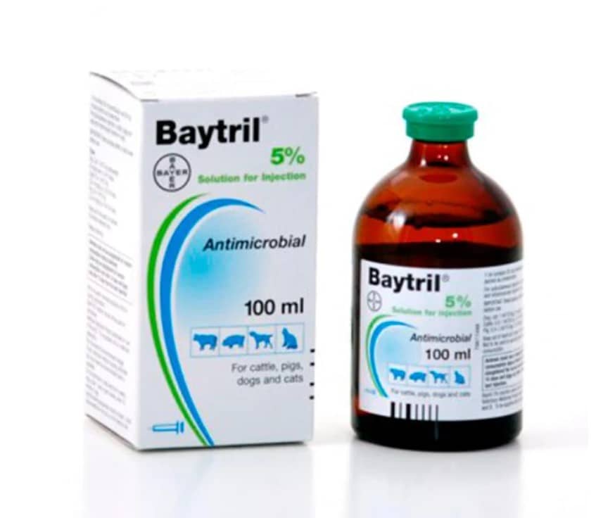 Antibiótico Baytril 5% x 100 Ml - Elanco