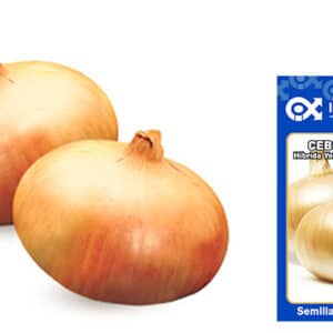 Semilla de Cebolla Híbrida yellow granex x 2 gr