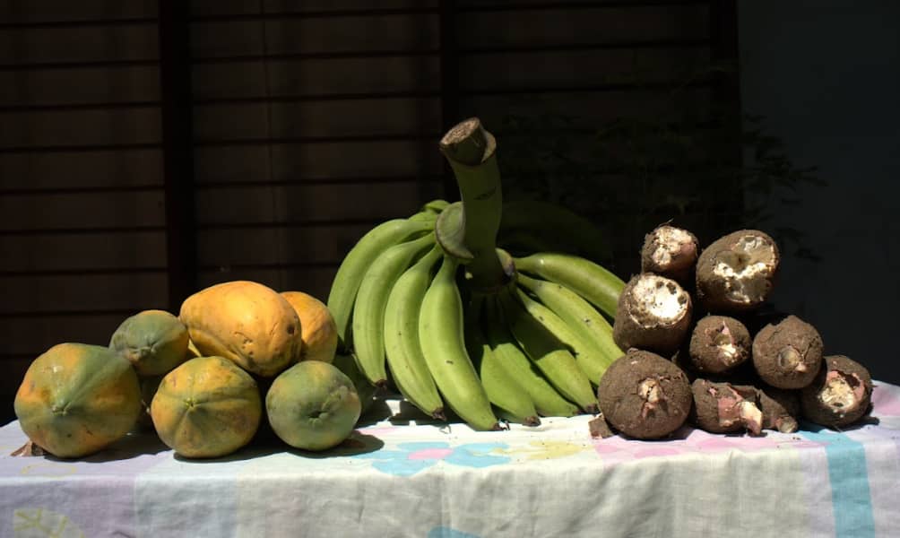 Captura de pantalla 2024-12-11 095002.png