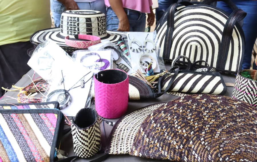 Productos Asiesta.png