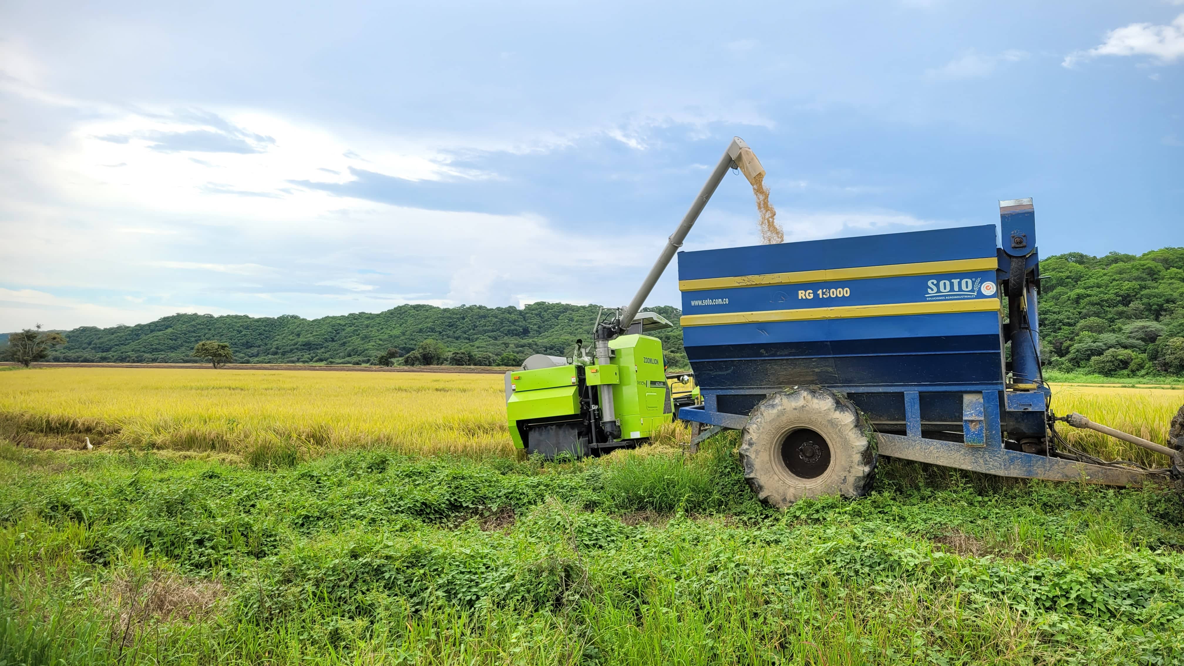 Combo Tractor RN 904/1104 + Cosechadora FH110Pro + Remolque Granelero