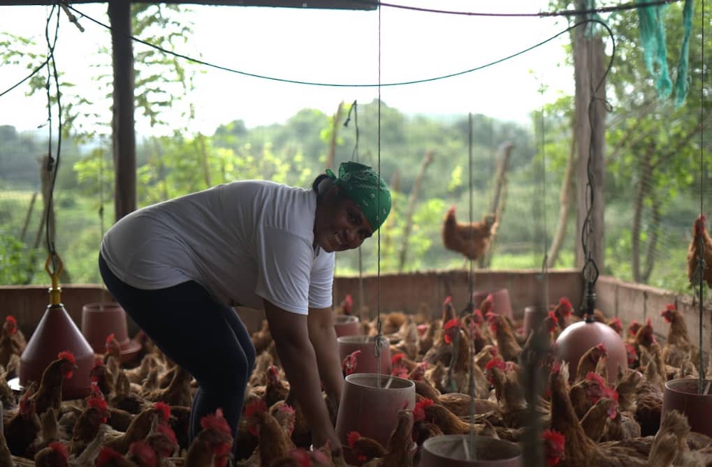 Captura de pantalla 2024-12-18 205835.png