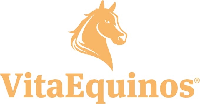 Vita Equinos