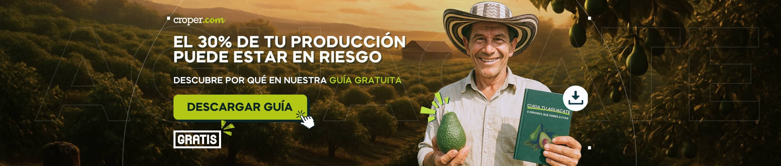 Lead Magnet Aguacate