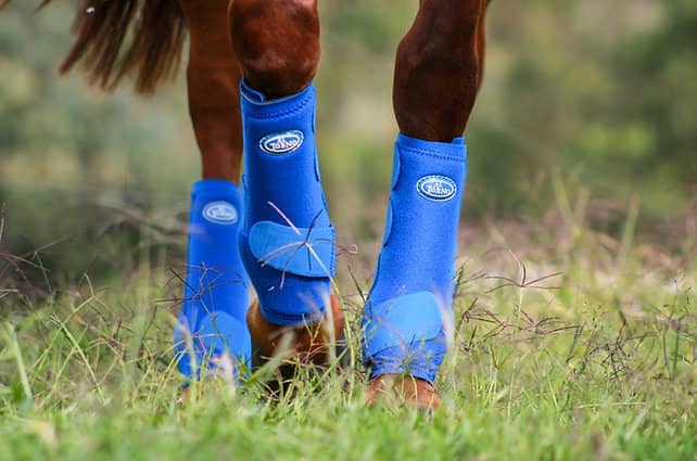 Protectores de Tendones Al Torno | Neopreno x2