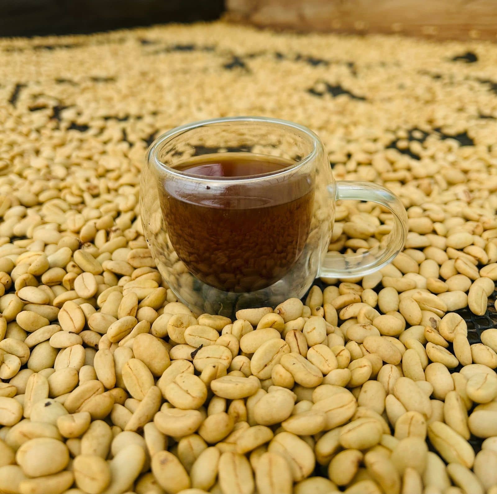 WhatsApp Image 2026-04-14 at 09.10.58 (1).jpeg