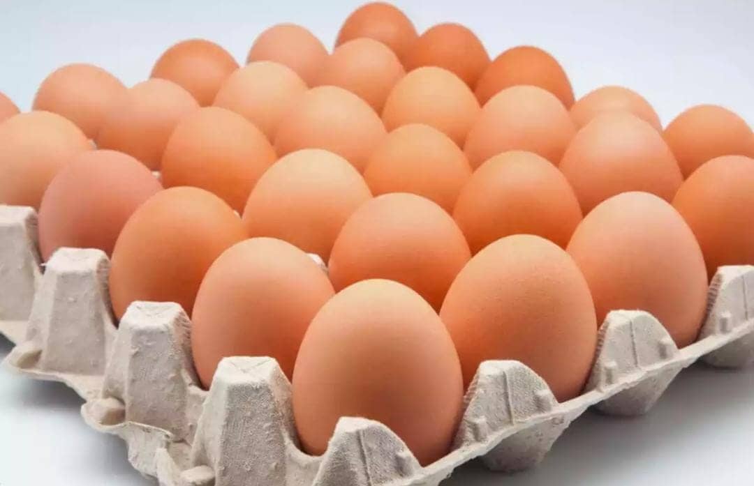 Huevos de gallinas felices A