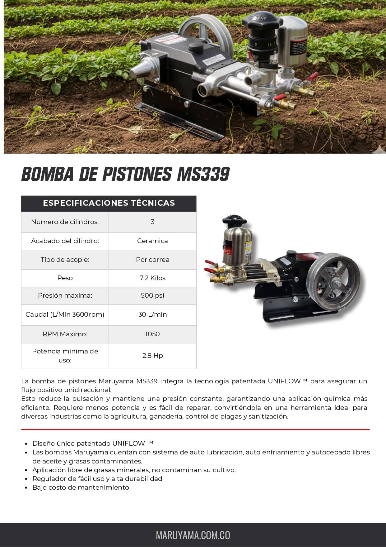 Cabezote de Fumigación Maruyama MS339