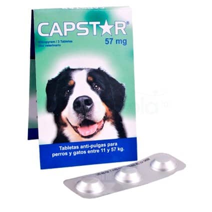 Capstar 57 mg Elanco 3 tabletas | Antipulgas oral rápido