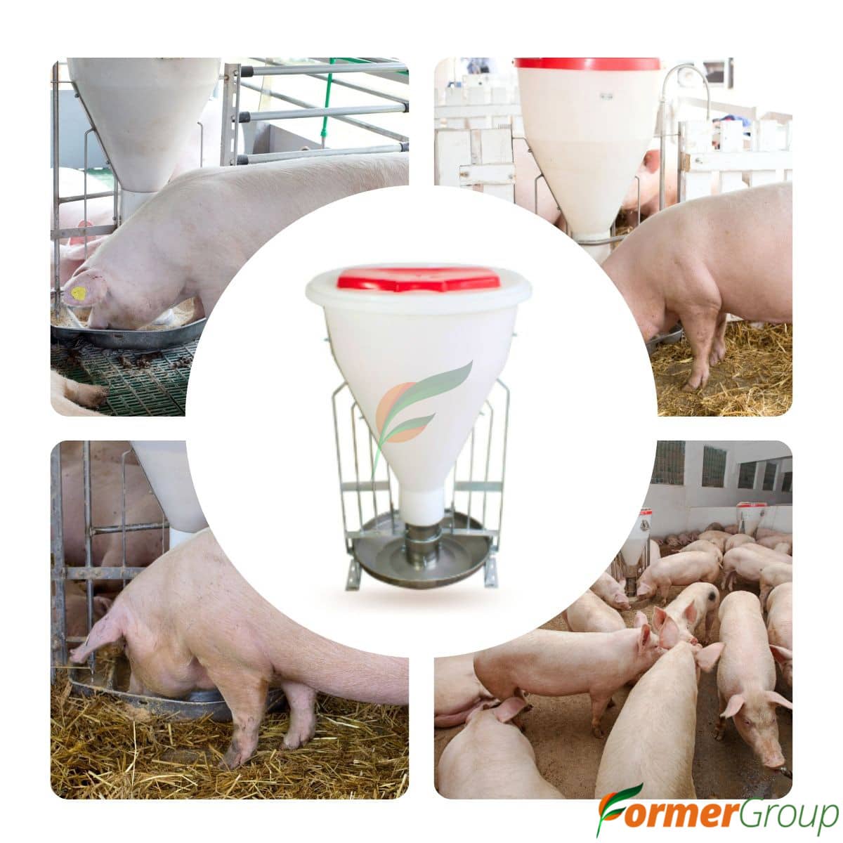 Comedero Automático Tolva 100kg