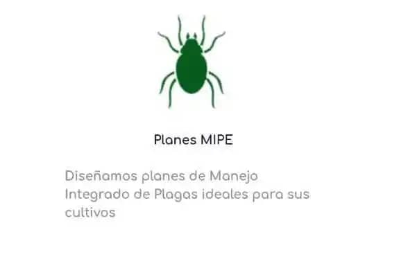 PLANES MIPE.jpg