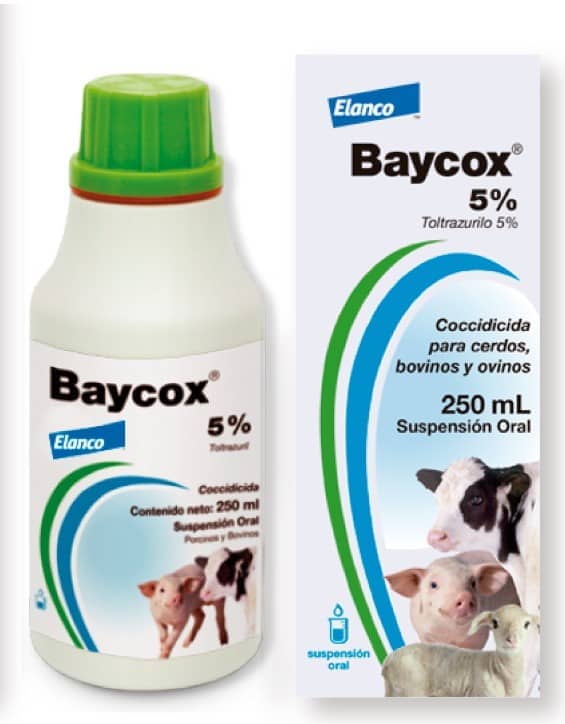 Baycox 5% 250 cc – Anticoccidial oral para bovinos y porcinos