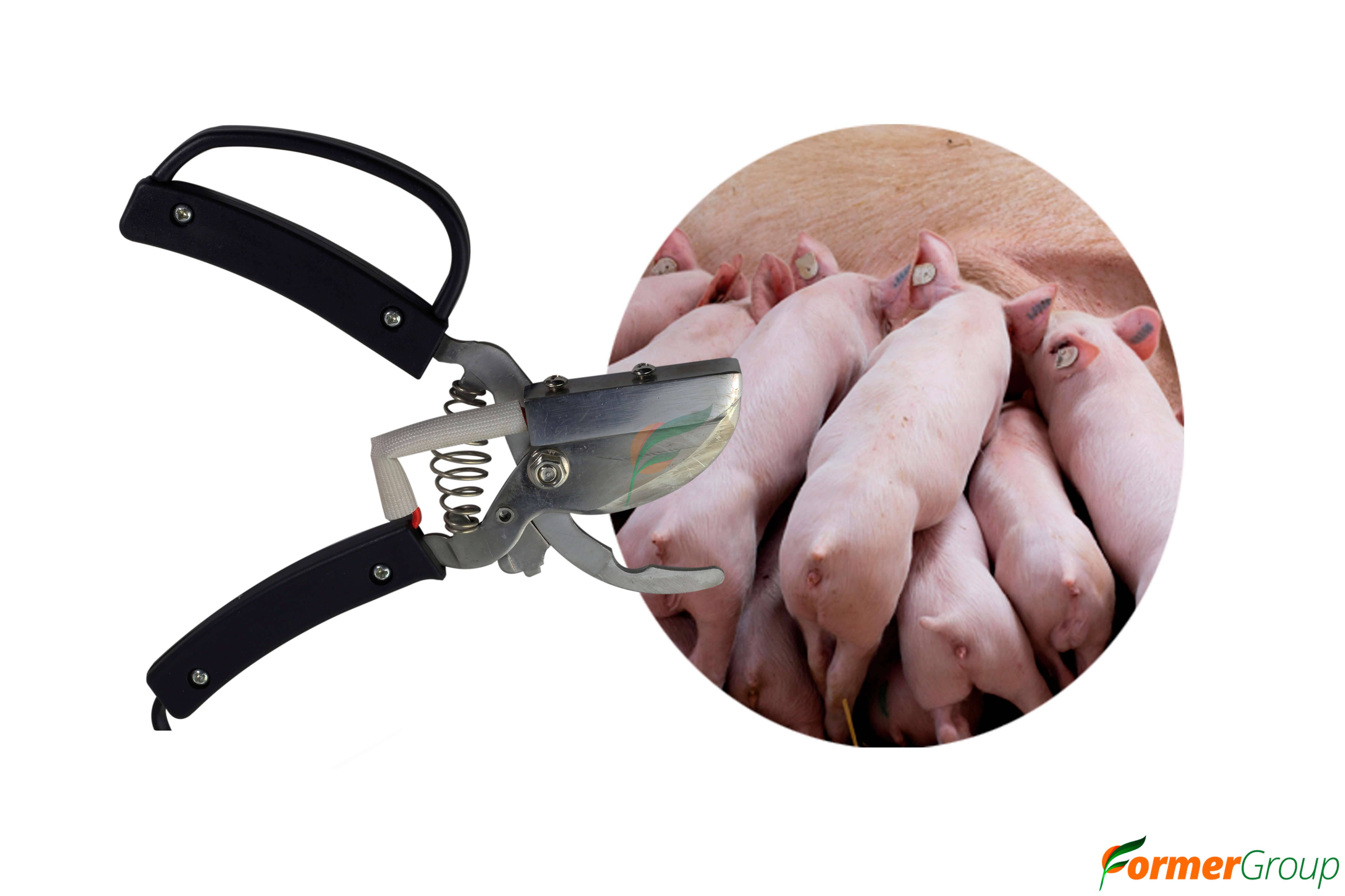 Cortador Eléctrico Cola Cerdo