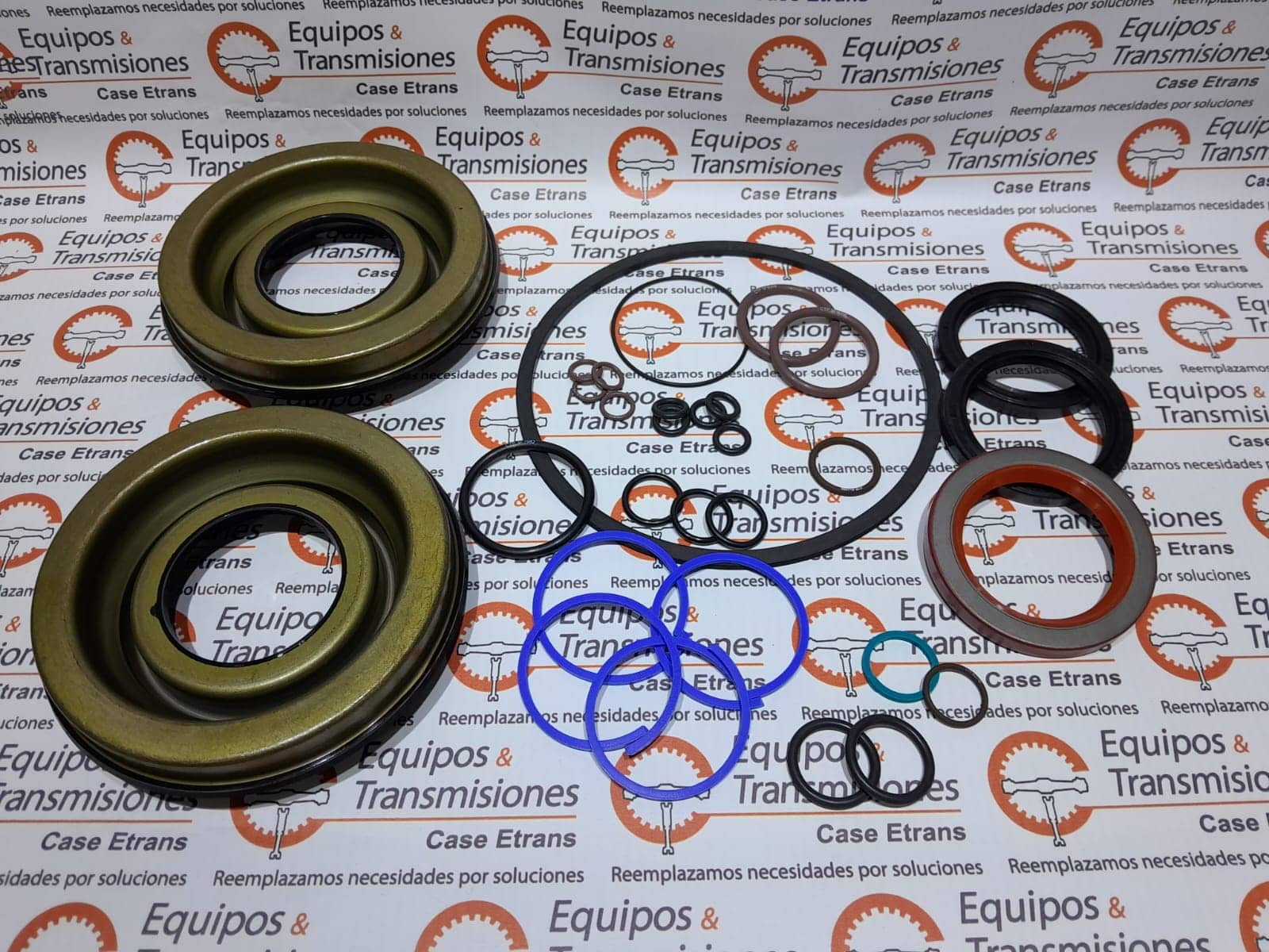 Empaquetadura servo - 258799K