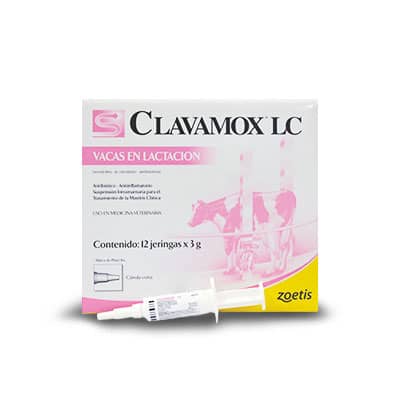 Antibiótico Clavamox LC x 12 jeringas - Zoetis