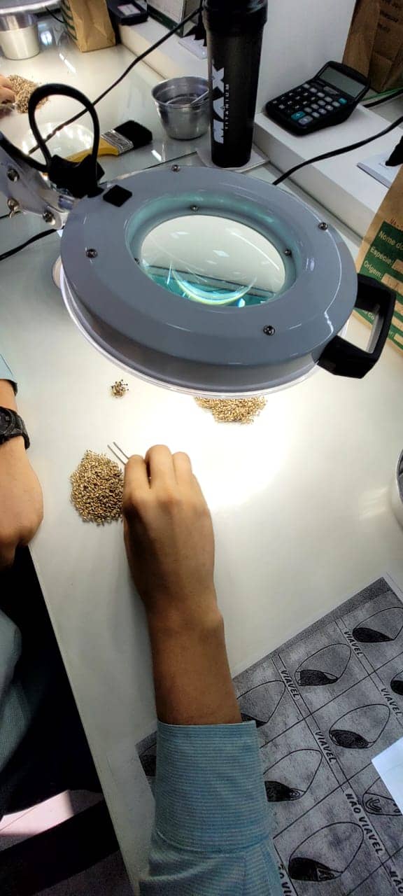 WhatsApp Image 2025-10-31 at 2.49.17 PM.jpeg