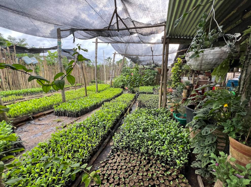 Captura de pantalla 2024-12-20 095420.png