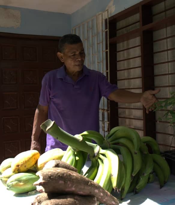 Captura de pantalla 2024-12-11 094627.png