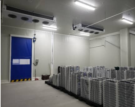 Cuarto Frío para Refrigeración – Cavas, Cuartos Refrigerados y Almacenaje