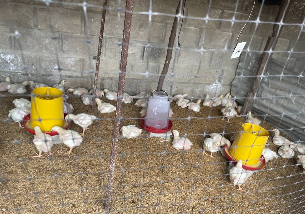 Captura de pantalla 2024-12-19 171532.png