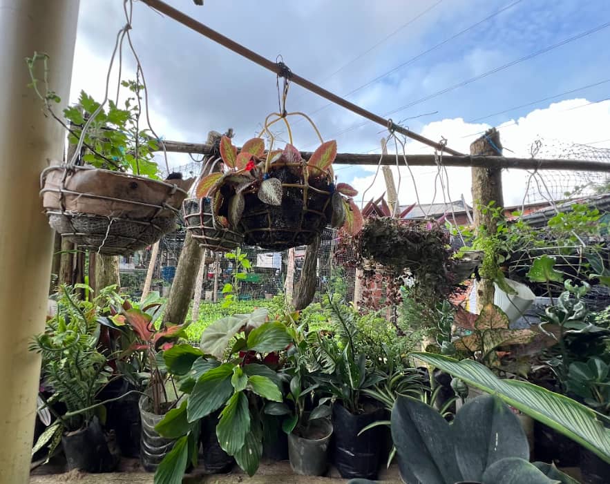 Captura de pantalla 2024-12-20 095444.png