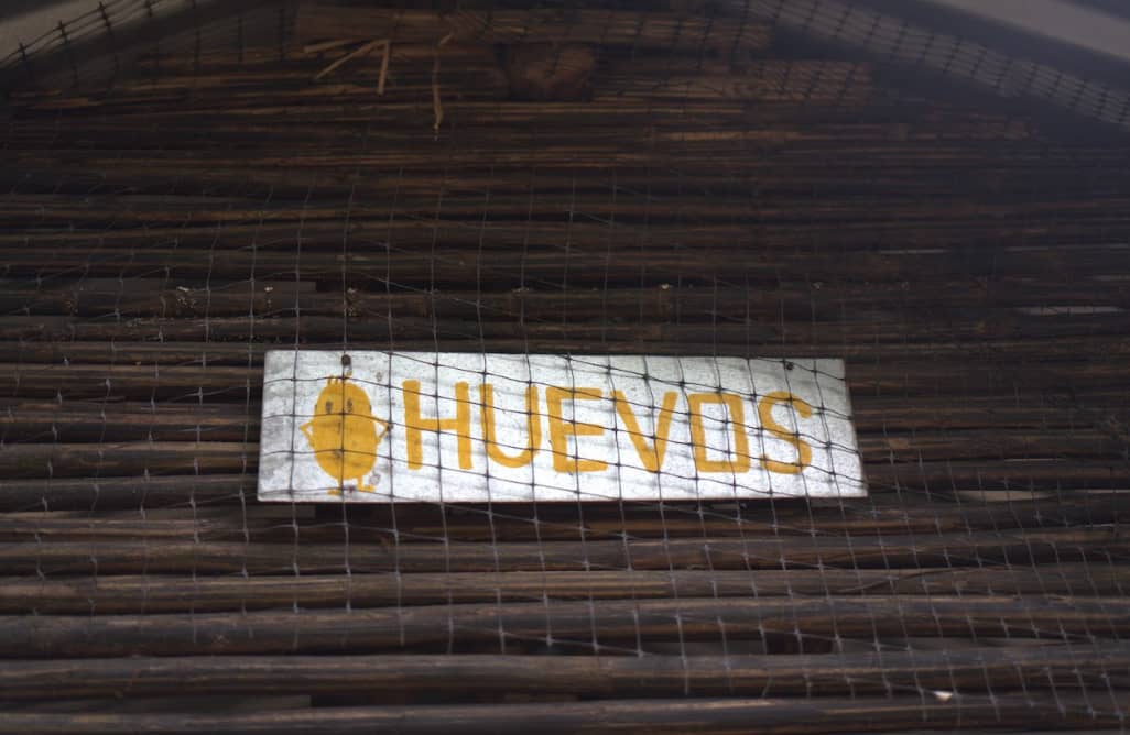 Captura de pantalla 2024-12-18 210040.png