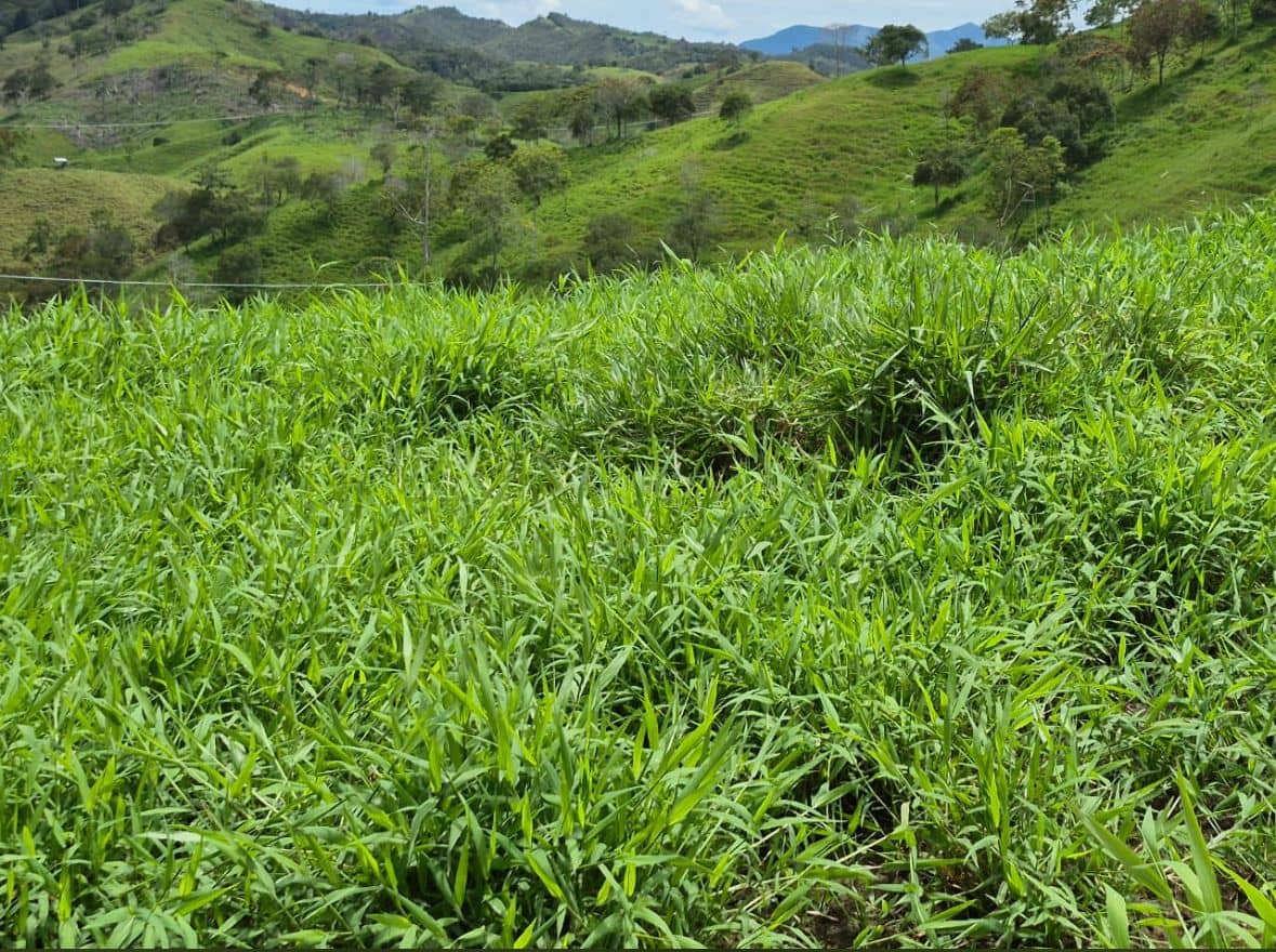 WhatsApp Image 2025-12-04 at 5.37.37 PM.jpeg