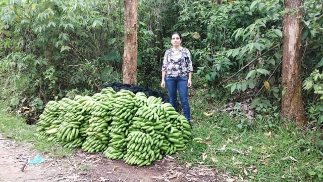 La Ladera Plátano y Banano