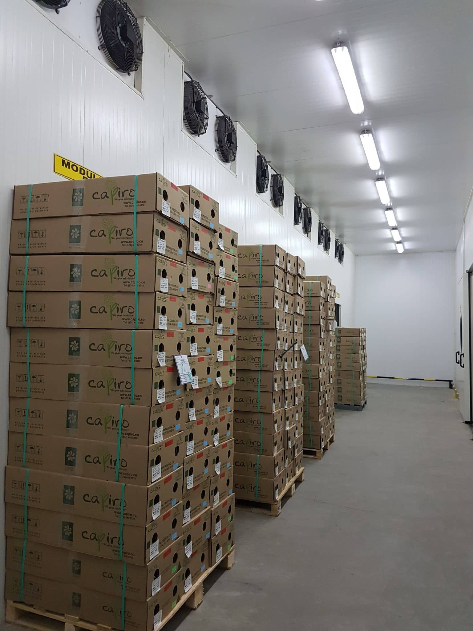 Túneles de enfriamiento para alimentos – Enfriamiento rápido IQF