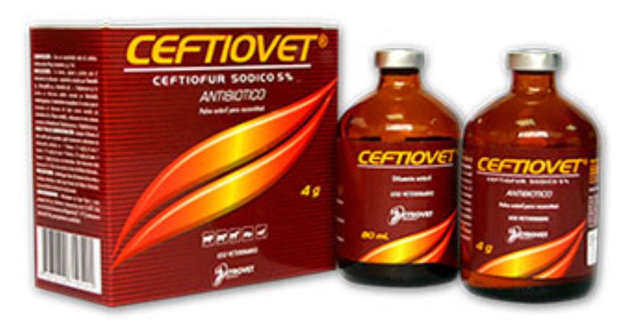 Antibiótico Ceftiovet FCO x 4GR