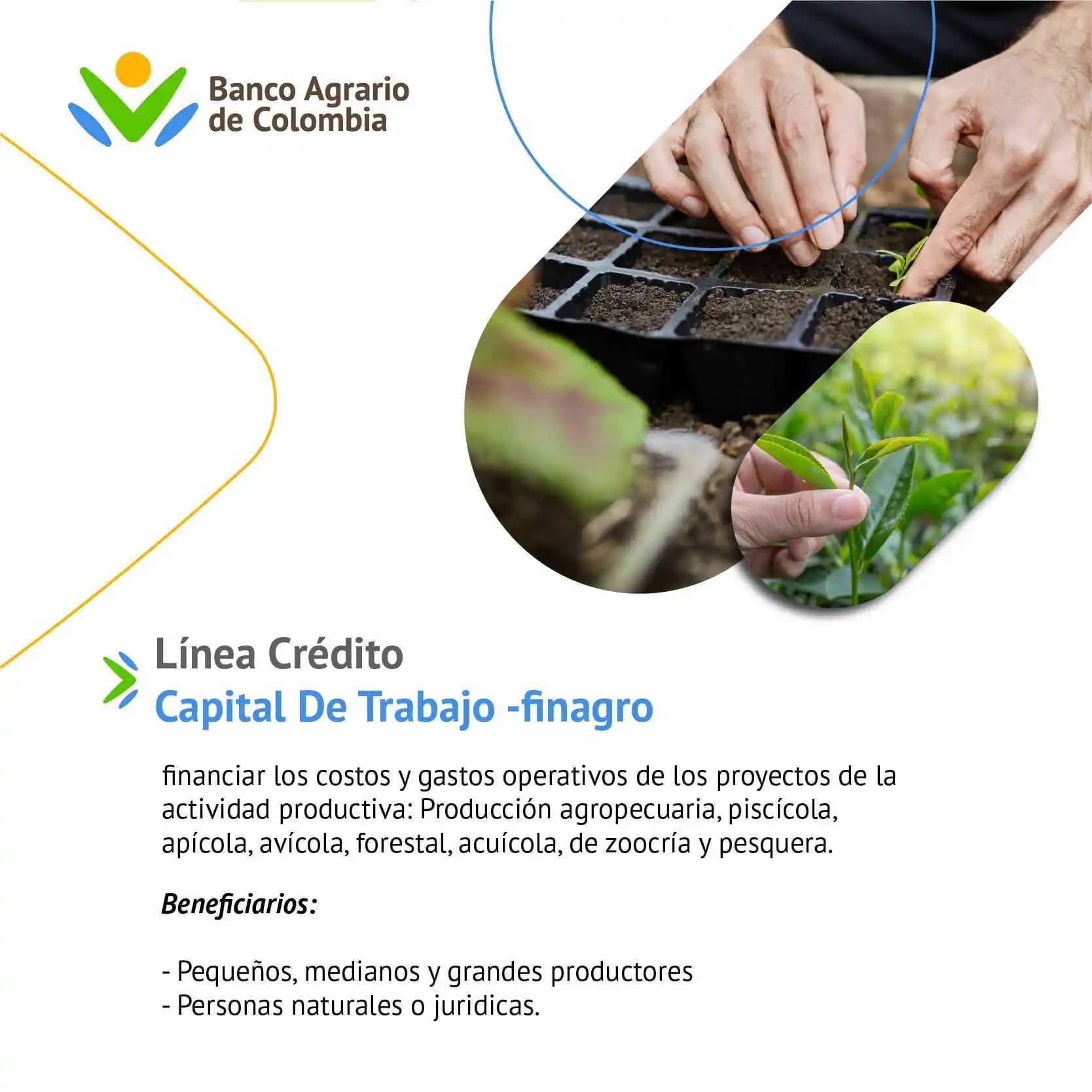 Línea de Crédito Capital de Trabajo -Finagro - Banco Agrario