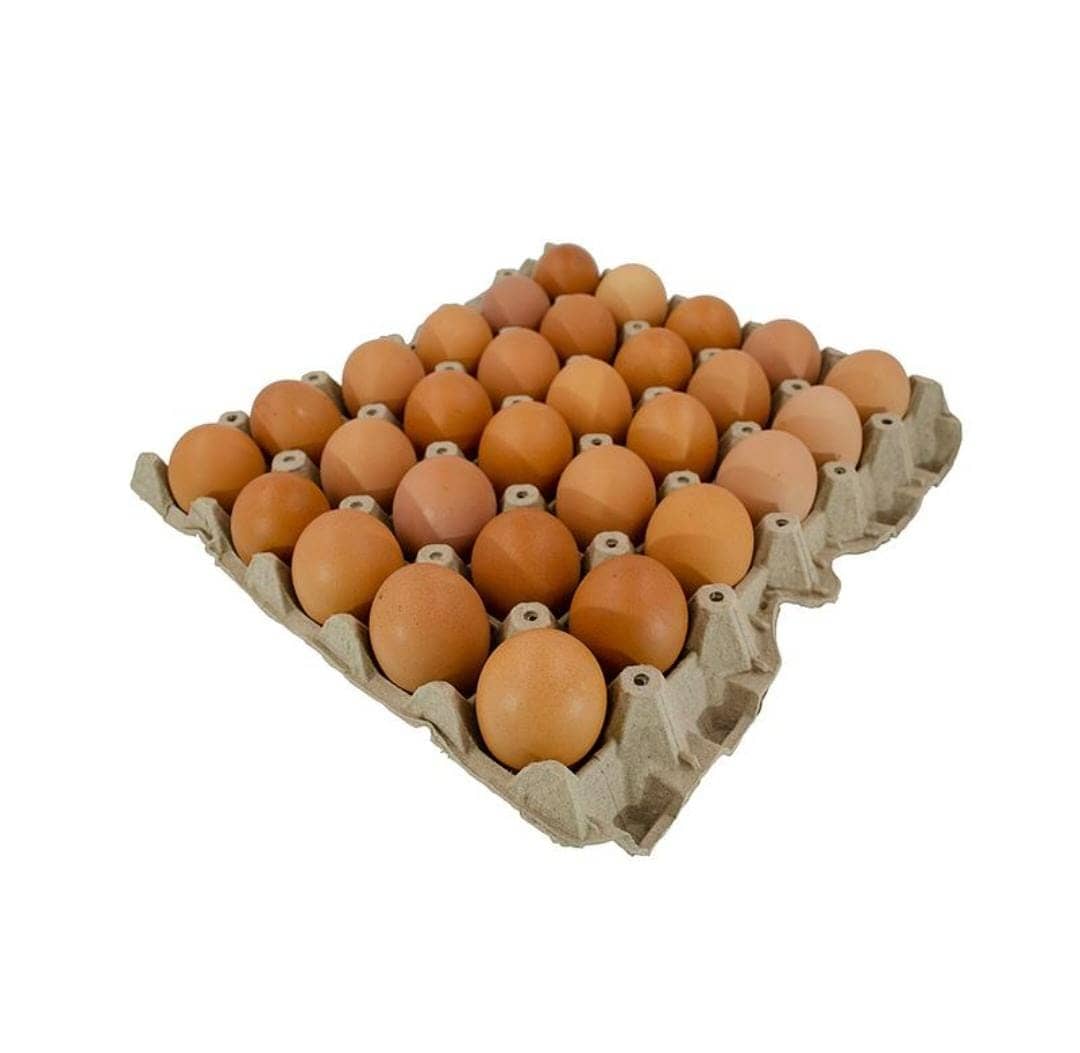 Huevos de gallinas felices AA