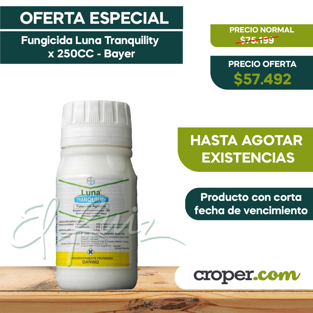Fungicida Luna Tranquility x 250CC - Bayer