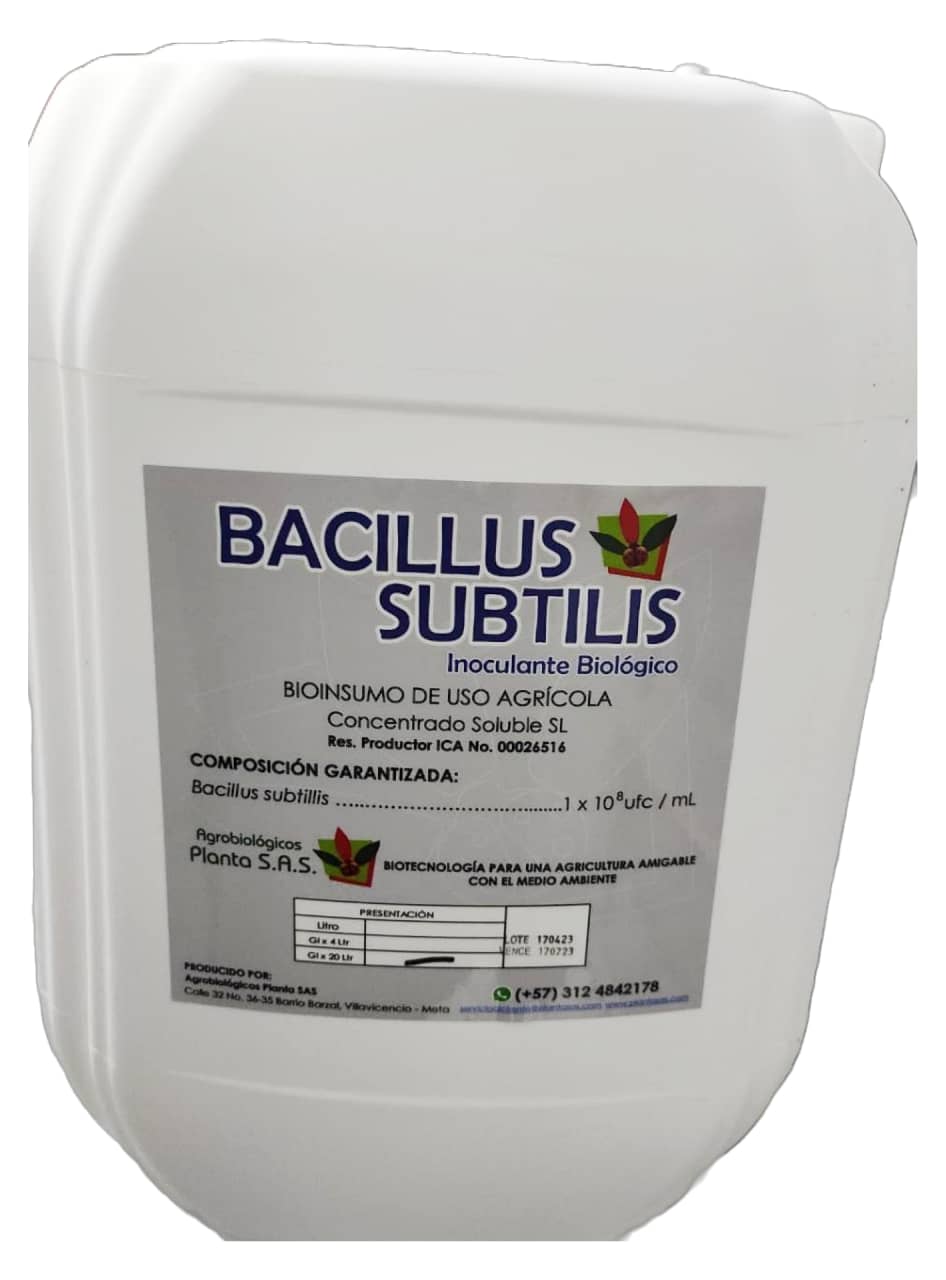 Bacillus subtilis / Control Biológico x 4 Lt