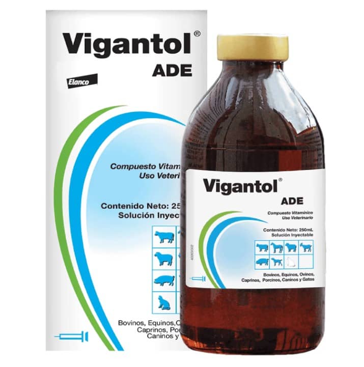 Vitamínico Vigantol ADE x 100 Ml - Elanco