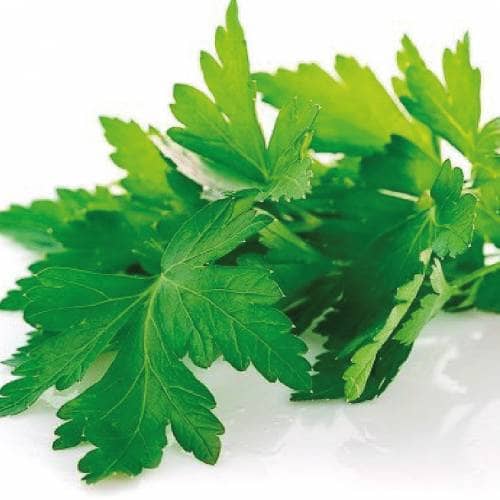 Semilla de Perejil liso x 8 gr