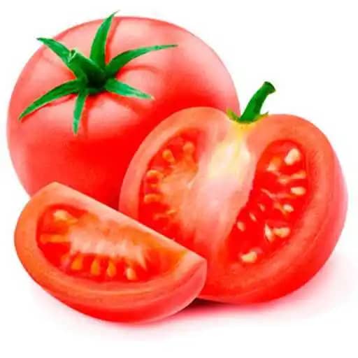 Semilla Tomate Chonto Santa Clara x 5gr