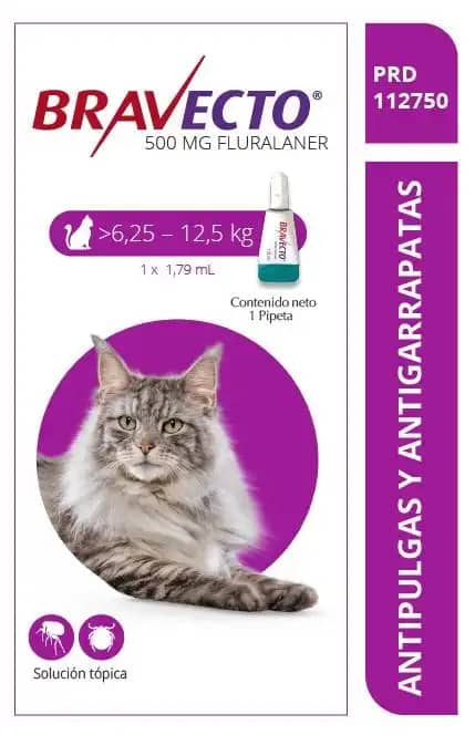 Antiparasitario Bravecto Spot gatos 6,2 kg a 12,5 kg