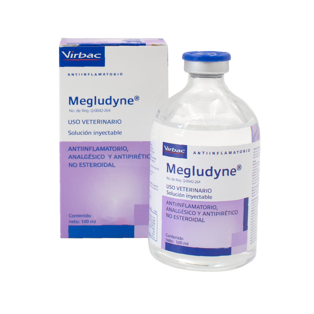 Antiinflamatorio Megludyne x 250 Ml