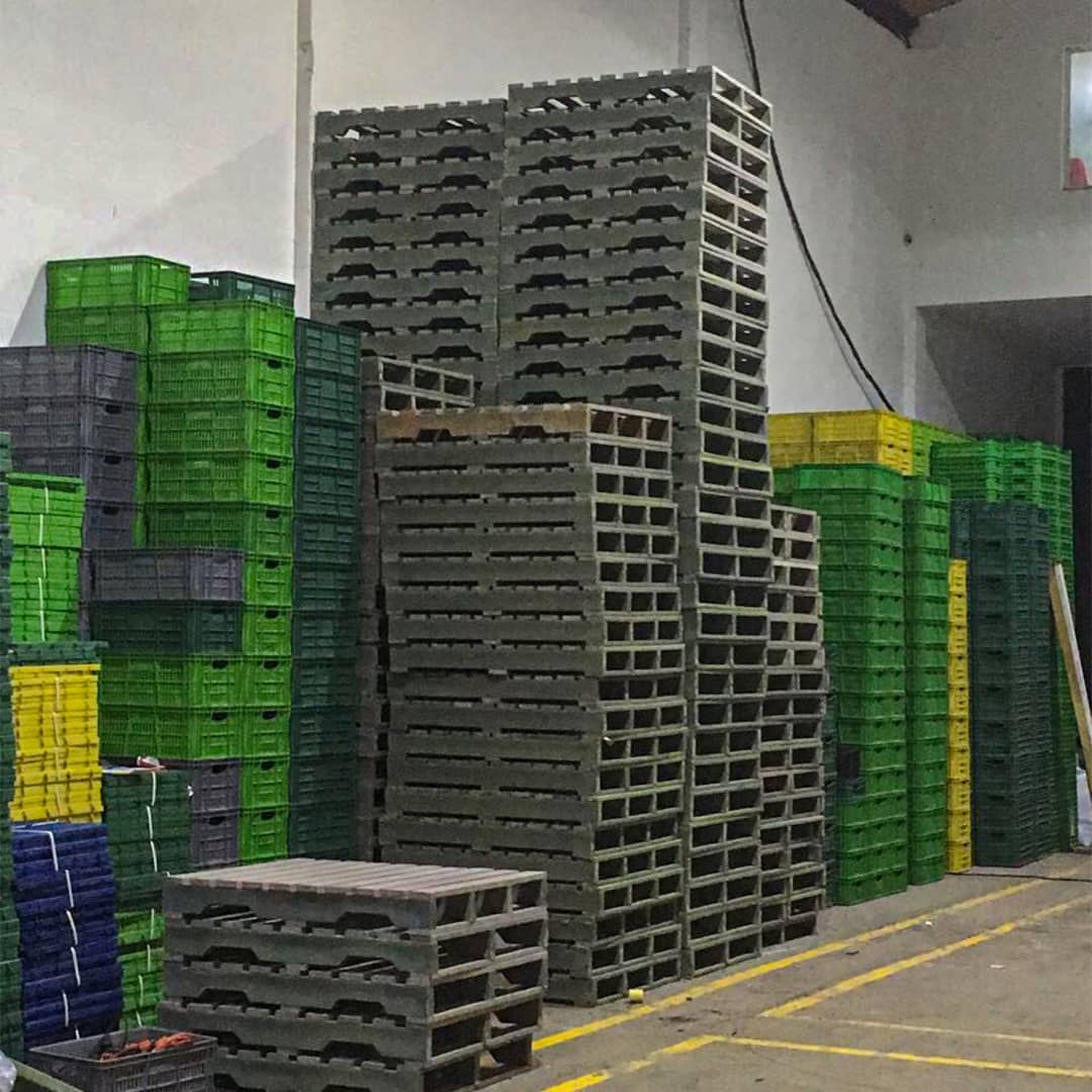 Canastillas de uso agropecuario - Postes Plásticos